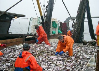 В Дагестане приступили к строительству рыбоперерабатывающего завода
