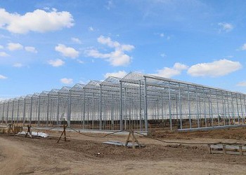 В Каширском районе Московской области ведется строительство крупного тепличного комплекса