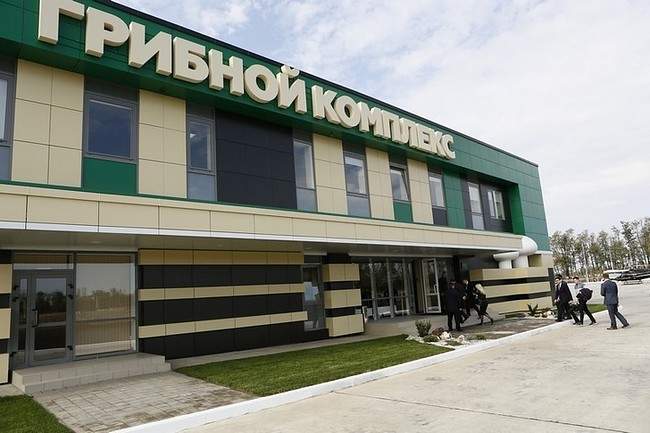 предприятие по выращиванию шампиньонов