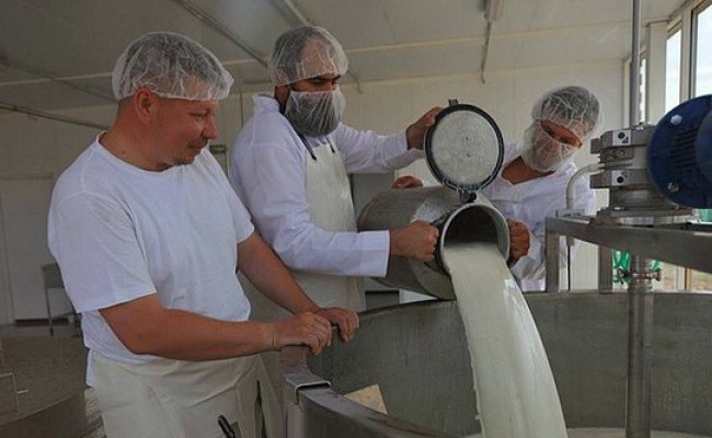 В Истринском районе Московской области открылась фермерская сыроварня