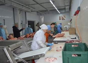 Цех переработки мясной продукции открыт в Пензенской области