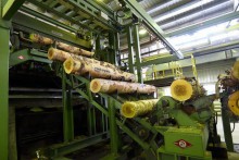 10 заводов российско-китайского лесопромышленного парка