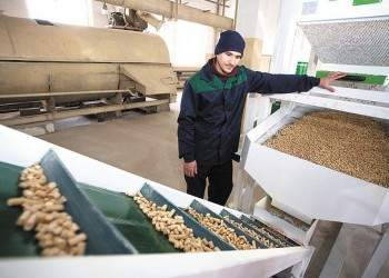 Завершено создание нового деревоперерабатывающего производства
