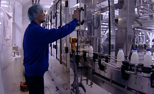 В Оренбурге запущено новое молочное производство