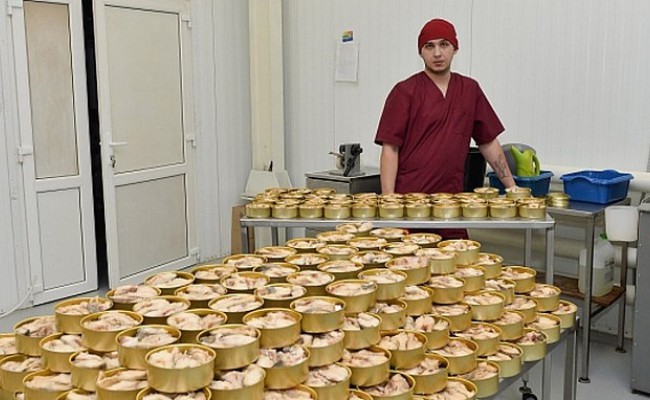 На Ямале запущено новое рыбоконсервное предприятие
