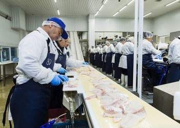 В Мурманской области открыта новая рыбоперерабатывающая фабрика