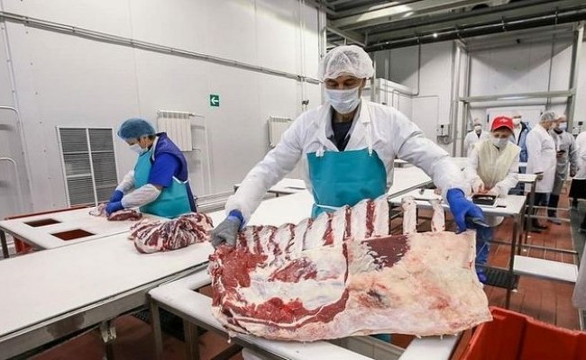Новый мясокомбинат запустили в Ульяновской области