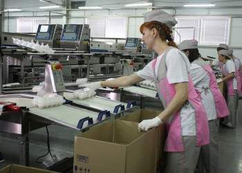 В Тюменской области открыта первая очередь обновленной Пышминской птицефабрики