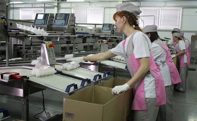 В Тюменской области открыта первая очередь обновленной Пышминской птицефабрики