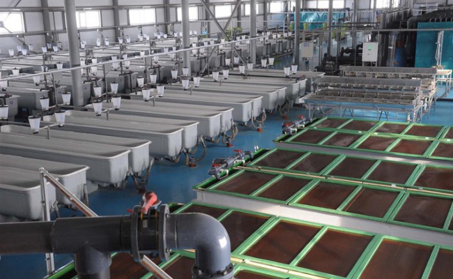 В Самарской области открылся рыборазводный завод