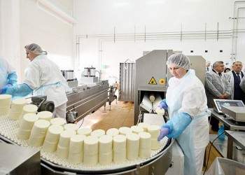 На Калачеевском сырном заводе запущена линия по производству сливочного крема