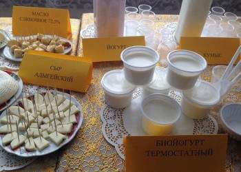 В Тункинском районе Бурятии открылся цех по переработке молока
