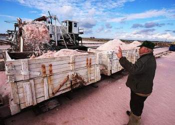 Соль уродилась: в Крыму начали сбор урожая розовой морской соли
