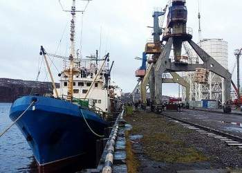 «Нацрыбресурс» организовал регулярный сервис по доставке рыбопродукции от борта до прилавка