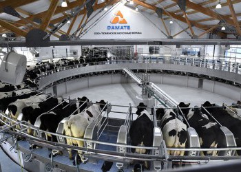 Молочный комплекс на 4600 голов открылся в Тюменской области