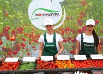 На Ставрополье открыт крупный тепличный комплекс