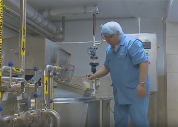 Новая карельская сыроварня выпустила первую партию сыров