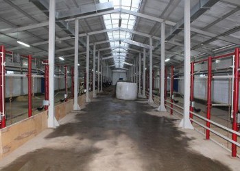В Республике Коми открыты 2 молочные фермы