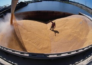 Экспорт зерна из России в июле вырос на 79%