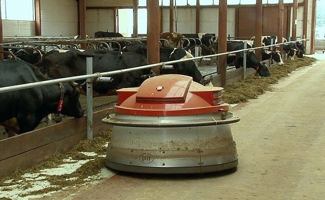 Кировское предприятие «Елгань» запустило роботизированную молочную ферму