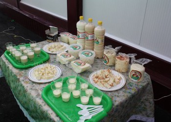 Открыт цех по производству сыров и кисломолочной продукции