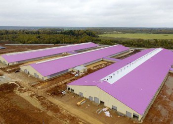 Молочный комплекс на 4000 голов открылся в Подмосковье