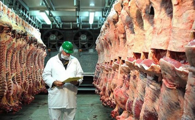 Россия получила право поставок говядины в Марокко