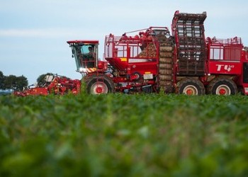 Россия почти отказалась от импортного сахара