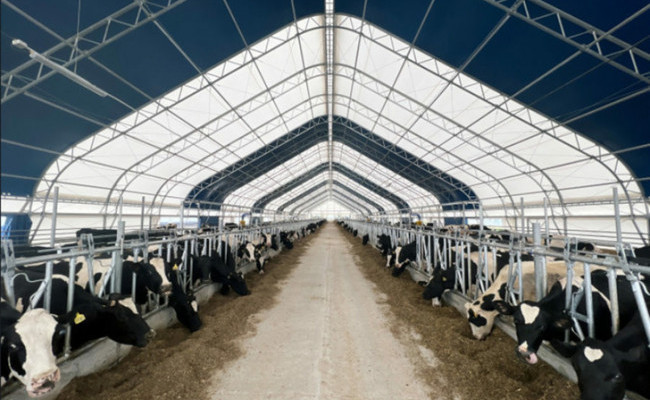 ОАО «Вознесенское» открыло в Новосибирской области молочную ферму на 1000 голов