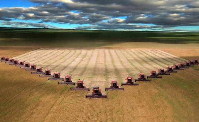 В России собран рекордный урожай зерна