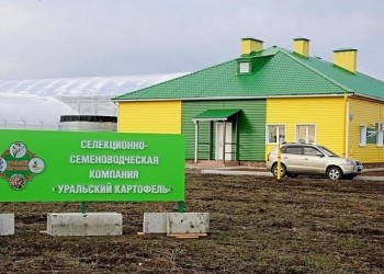 В Свердловской области начал работу селекционно-семеноводческий центр «Уральский картофель»