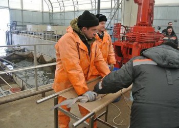 В Смоленской области открылся комплекс по выращиванию рыбы осетровых пород