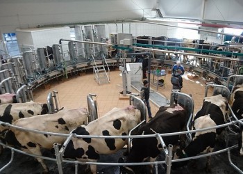 В Кировской области введена в эксплуатацию молочная карусель