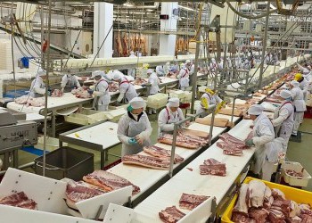 В России за 17 лет производство мясной продукции выросло в 6 раз