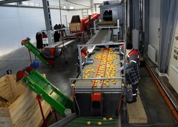 В Омской области запущены крупное картофелехранилище и животноводческий комплекс на 520 коров