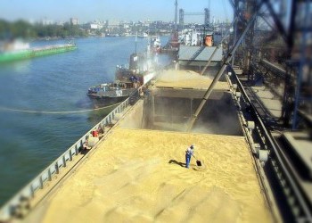 Россия побеждает в мировой «зерновой войне»