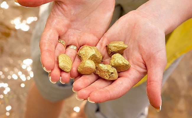В горах Алтая обнаружено крупное месторождение золота