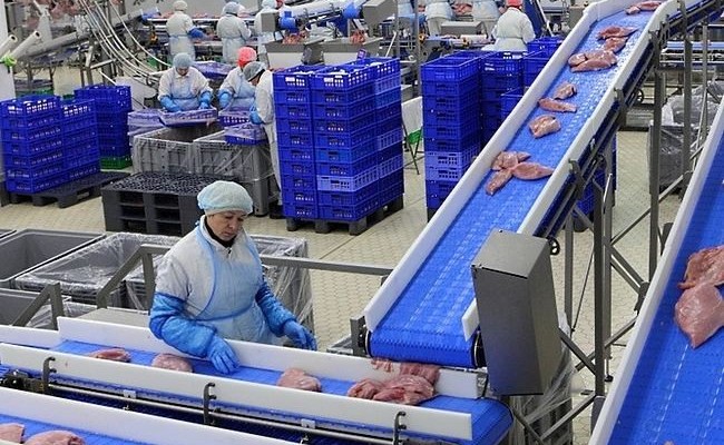 Стоимость экспорта мяса индейки за 1 полугодие 2021 увеличилась почти на 230%