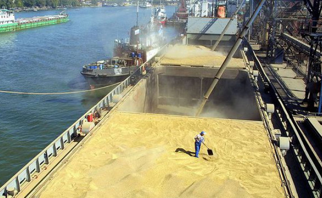 Россия в 2023 г. установила рекорд по экспорту зерна