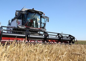 В Ростовской области установлен всероссийский рекорд по урожаю ранних зерновых