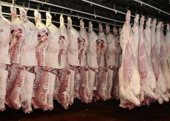 Российские производители наращивают экспорт мяса и мясопродуктов