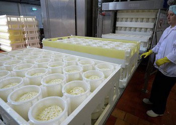 В Ростовской области произвели 8,2 тыс. тонн сыра за пять месяцев 2015 года