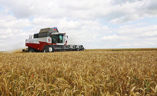 Аграрии Крыма полностью обеспечили полуостров продовольственной пшеницей
